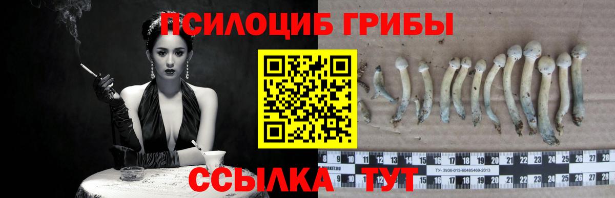 Псилоцибиновые грибы GOLDEN TEACHER  Галлюциногенные грибы Psilocybe  Вход с VPN  где купить   Черногорск 